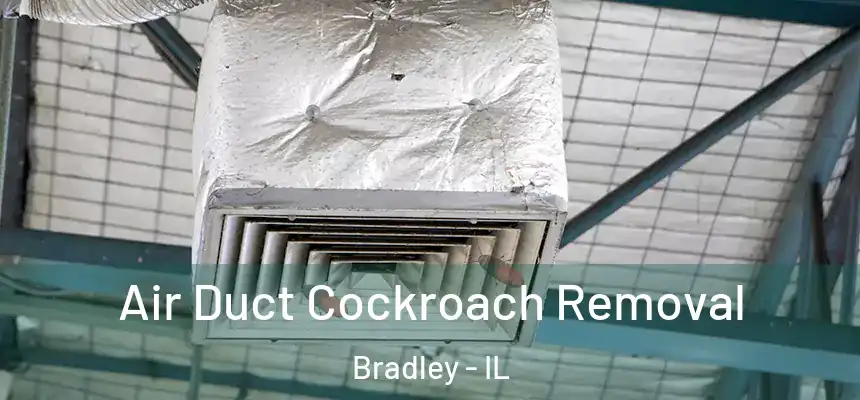 Air Duct Cockroach Removal Bradley - IL