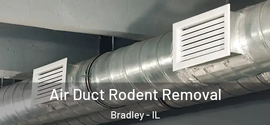  Air Duct Rodent Removal Bradley - IL