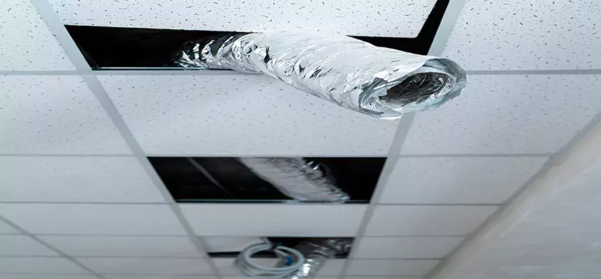 Our Air Duct Pet Hair Removal Services in Bradley, IL