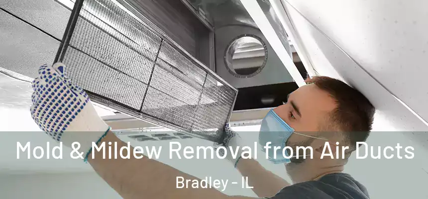 Mold & Mildew Removal from Air Ducts Bradley - IL