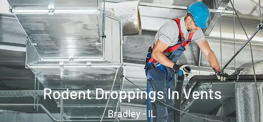 Rodent Droppings In Vents Bradley - IL