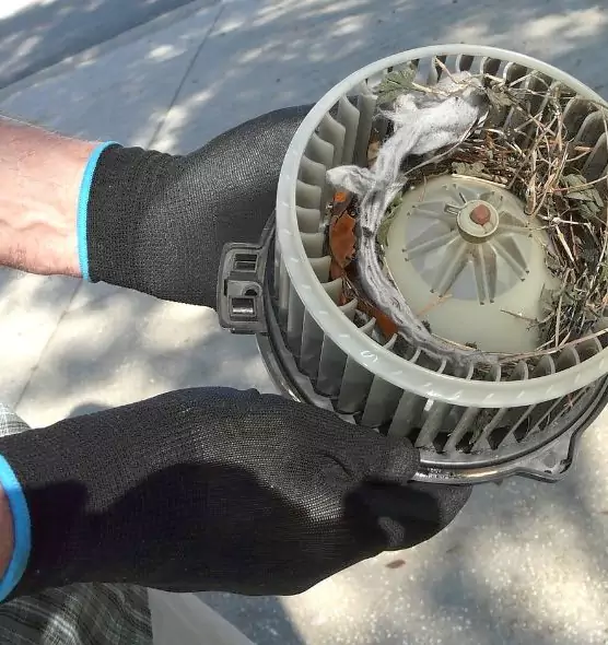 About Air Duct Mice Removal in Bradley, IL