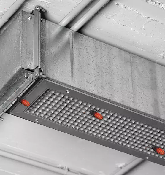 Affordable Insect Removal from Air Ducts in Bradley, IL