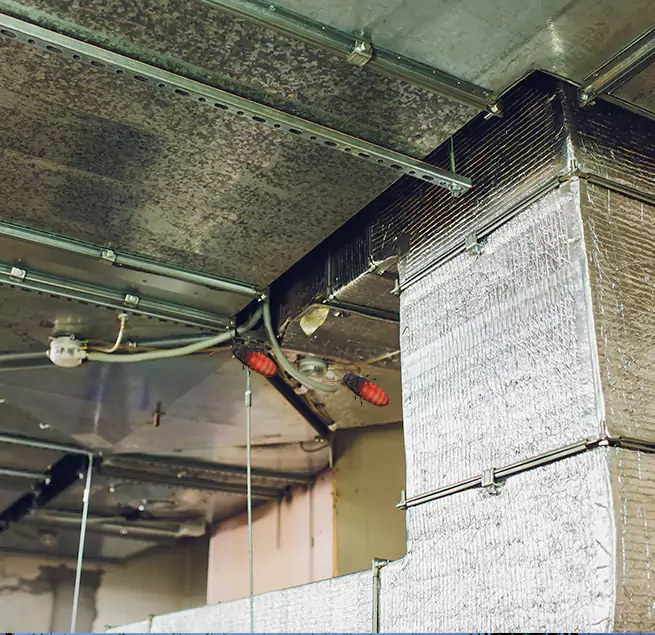 Why Homeowners & Businesses Trust Us in Bradley, IL?