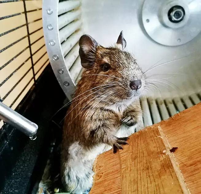 Why Homeowners & Businesses Trust Us Bradley, IL